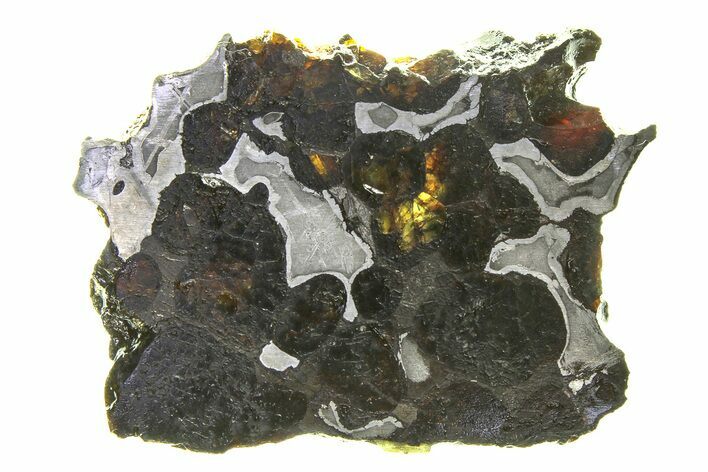 Brenham Pallasite Meteorite ( g) Slice - Kansas #294811